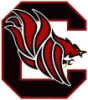 New South Carolina Gamecock modern logo